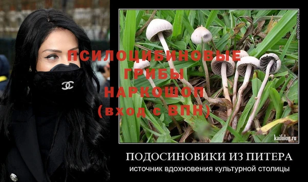 дмт Армянск