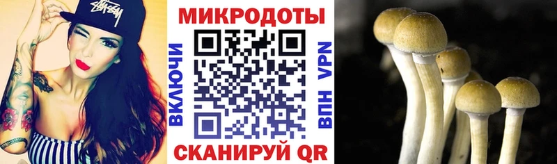 Псилоцибиновые грибы Psilocybe ссылка на мегу сайт Гаврилов Посад где можно купить