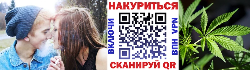 закладка  Гаврилов Посад  Бошки Шишки конопля 